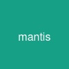 mantis