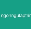 ngonngulaptrinhjava