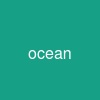 ocean