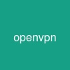 openvpn