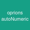 oprions autoNumeric