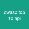 owasp top 10 api