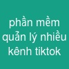 phần mềm quản lý nhiều kênh tiktok