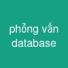 phỏng vấn database