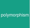 polymorphism