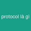 protocol là gì