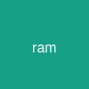 ram