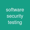 software security testing