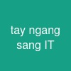 tay ngang sang IT