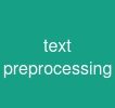 text preprocessing