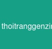 thoitranggenzin