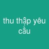 thu thập yêu cầu