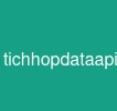 tichhopdataapichoaiagent