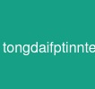 tongdaifptinnternet