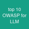 top 10 OWASP for LLM