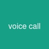 voice call