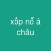 xốp nổ á châu