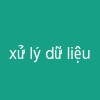 xử lý dữ liệu