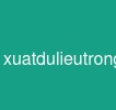 xuatdulieutrongjava