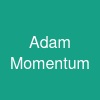 Adam Momentum