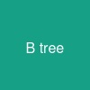 B+tree