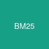 BM25
