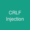 CRLF Injection