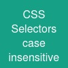 CSS Selectors case insensitive