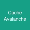 Cache Avalanche