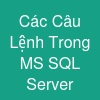 Các Câu Lệnh Trong MS SQL Server