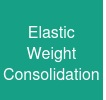 Elastic Weight Consolidation
