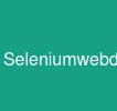 Seleniumwebdriver