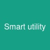 Smart utility