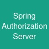 Spring Authorization Server