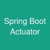 Spring Boot Actuator