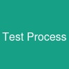 Test Process