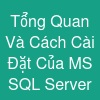 Tổng Quan Và Cách Cài Đặt Của MS SQL Server