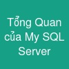 Tổng Quan của My SQL Server