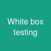 White box testing