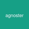 agnoster