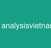 analysis_vietnamese