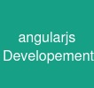angularjs Developement