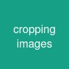 cropping images