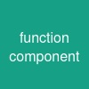 function component