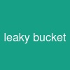 leaky bucket