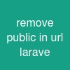 remove public in url larave
