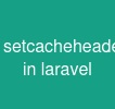 setcacheheaders in laravel