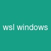 wsl windows