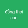 đồng thời cao