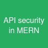 API security in MERN